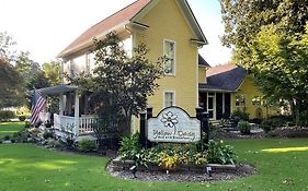 Yellow Daisy Bed And Breakfast